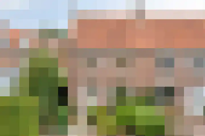 Duifstraat 13 Tilburg thumbnail 5