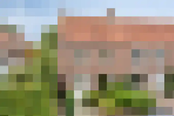 Duifstraat 13 Tilburg thumbnail 7