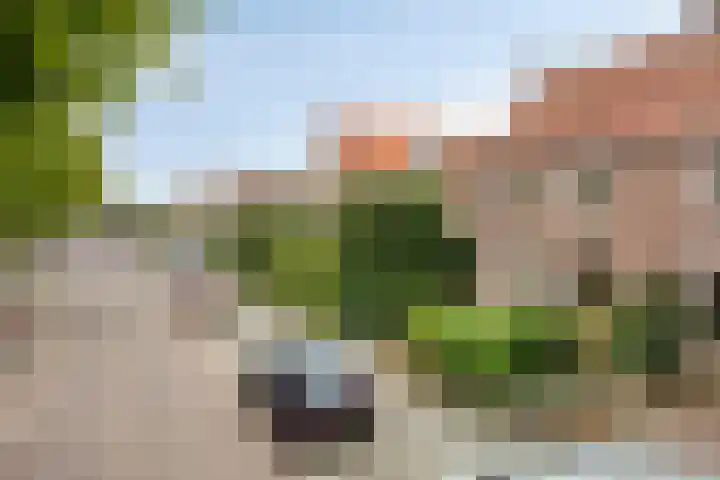 Duifstraat 13 Tilburg thumbnail 8
