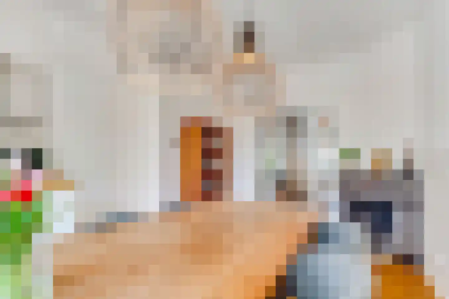 Duifstraat 14 Utrecht thumbnail 14