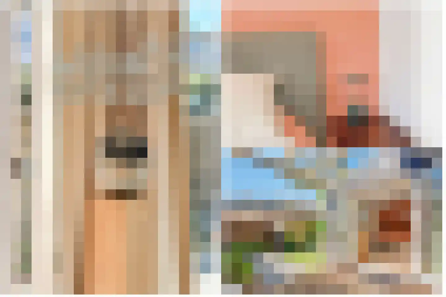 Duifstraat 14 Utrecht thumbnail 18
