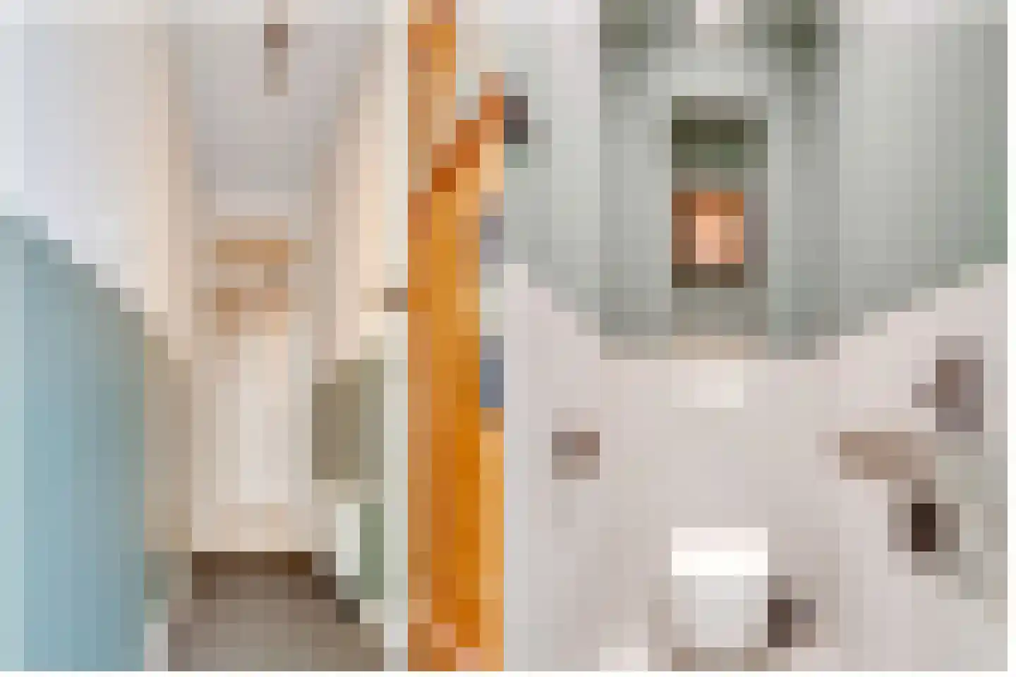 Duifstraat 14 Utrecht thumbnail 31