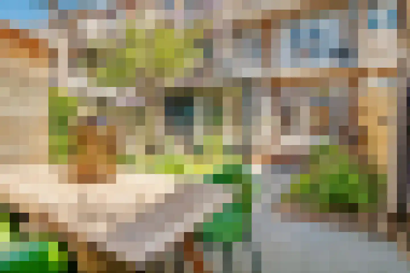 Duifstraat 14 Utrecht thumbnail 46