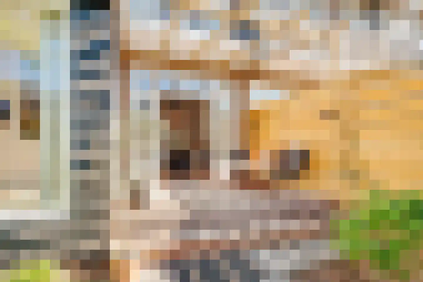 Duifstraat 14 Utrecht thumbnail 48