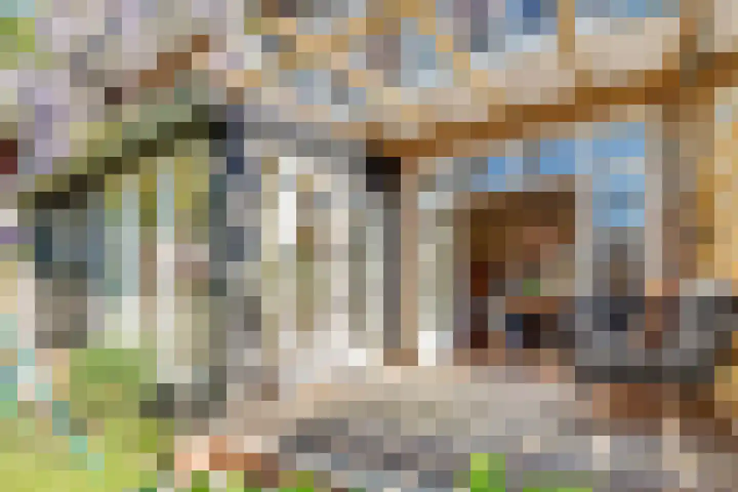 Duifstraat 14 Utrecht thumbnail 50