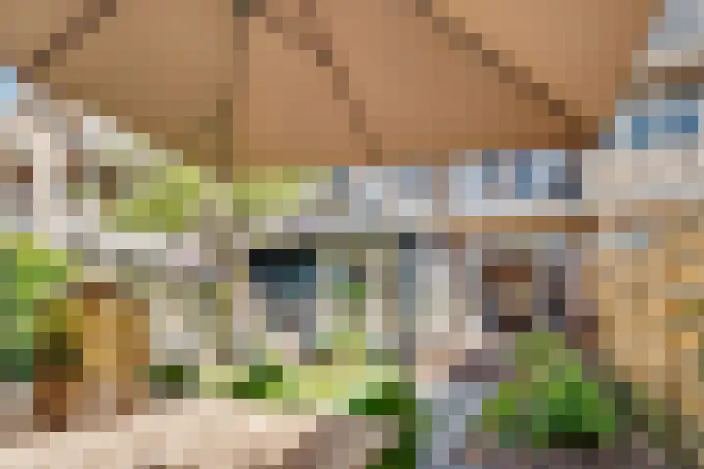 Duifstraat 14 Utrecht thumbnail 52