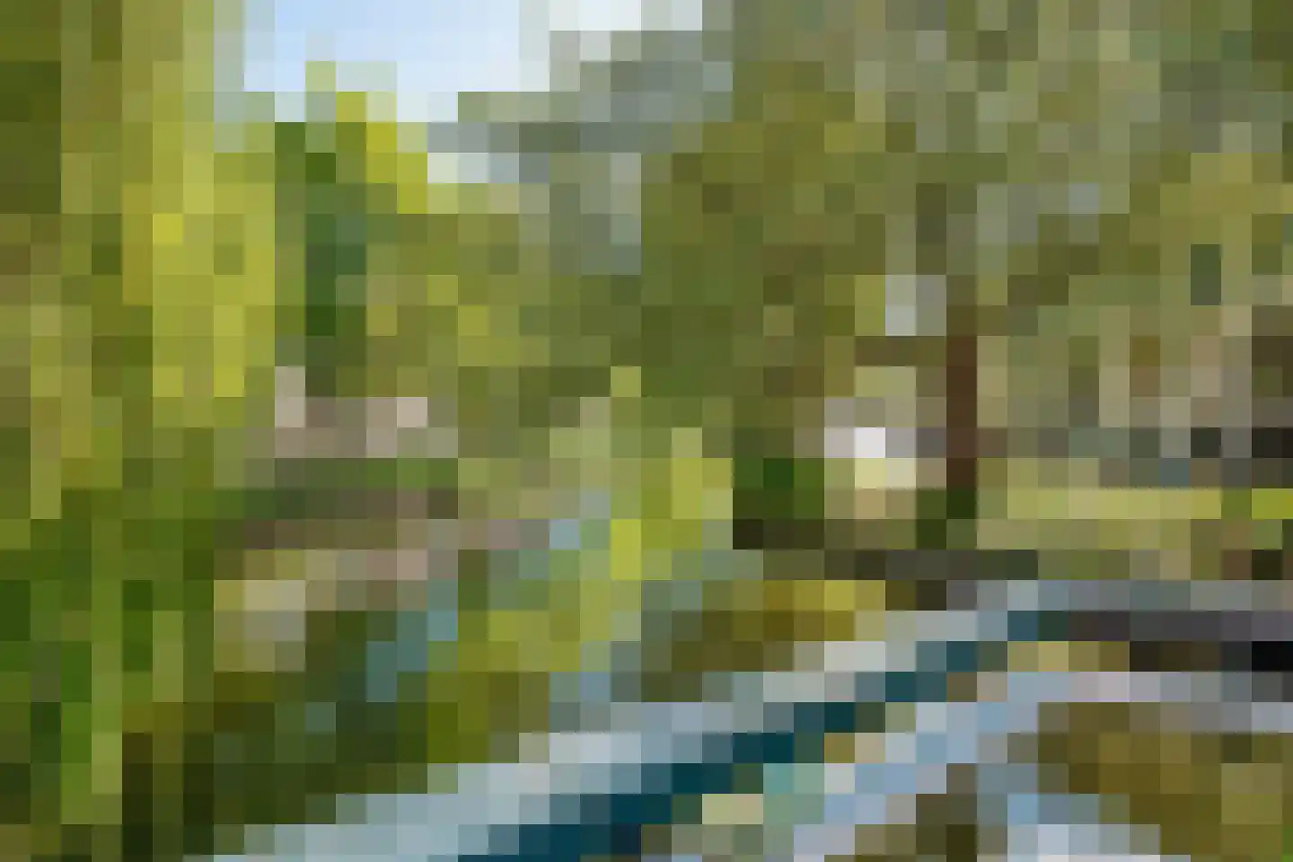 Duifstraat 14 Utrecht thumbnail 59