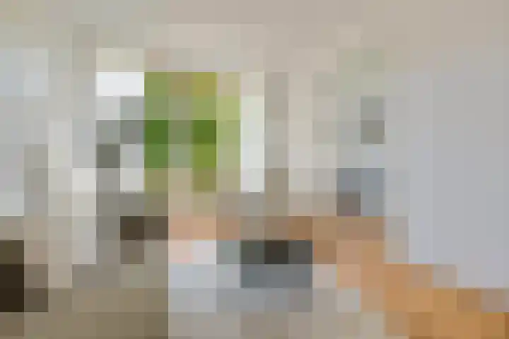 Duifstraat 30 Utrecht thumbnail 5