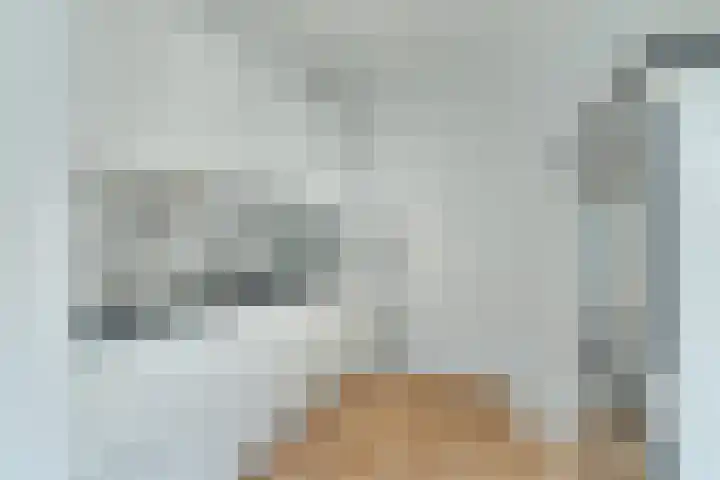 Duifstraat 41 Tilburg thumbnail 8