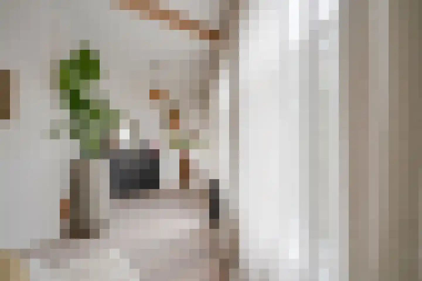 Duifstraat 57 Utrecht thumbnail 30