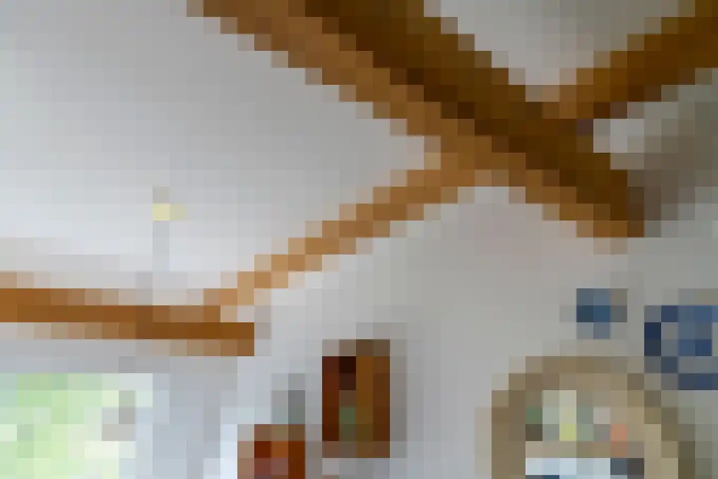 Duifstraat 57 Utrecht thumbnail 38