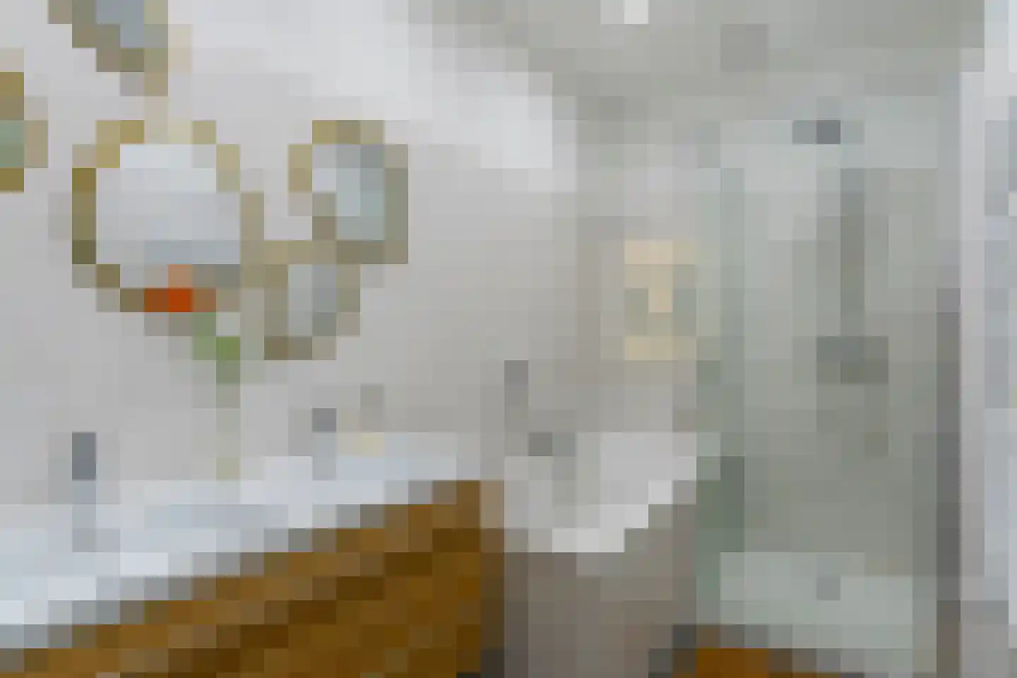 Duifstraat 57 Utrecht thumbnail 41