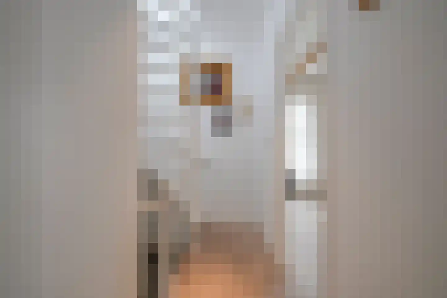 Duifstraat 57 Utrecht thumbnail 46
