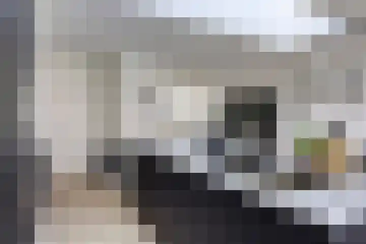 Duifstraat 66 Tilburg thumbnail 14