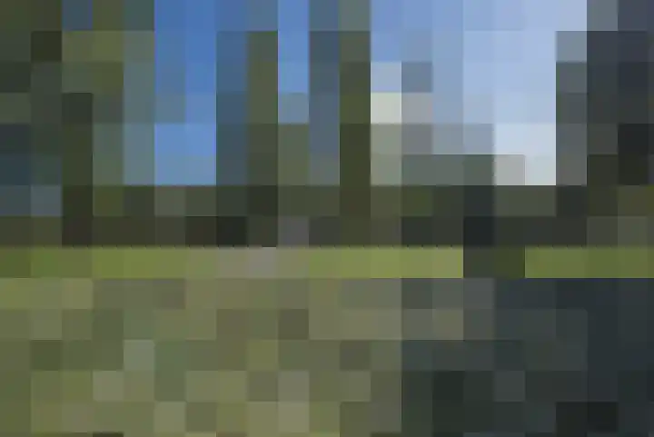 Duifstraat 66 Tilburg thumbnail 34