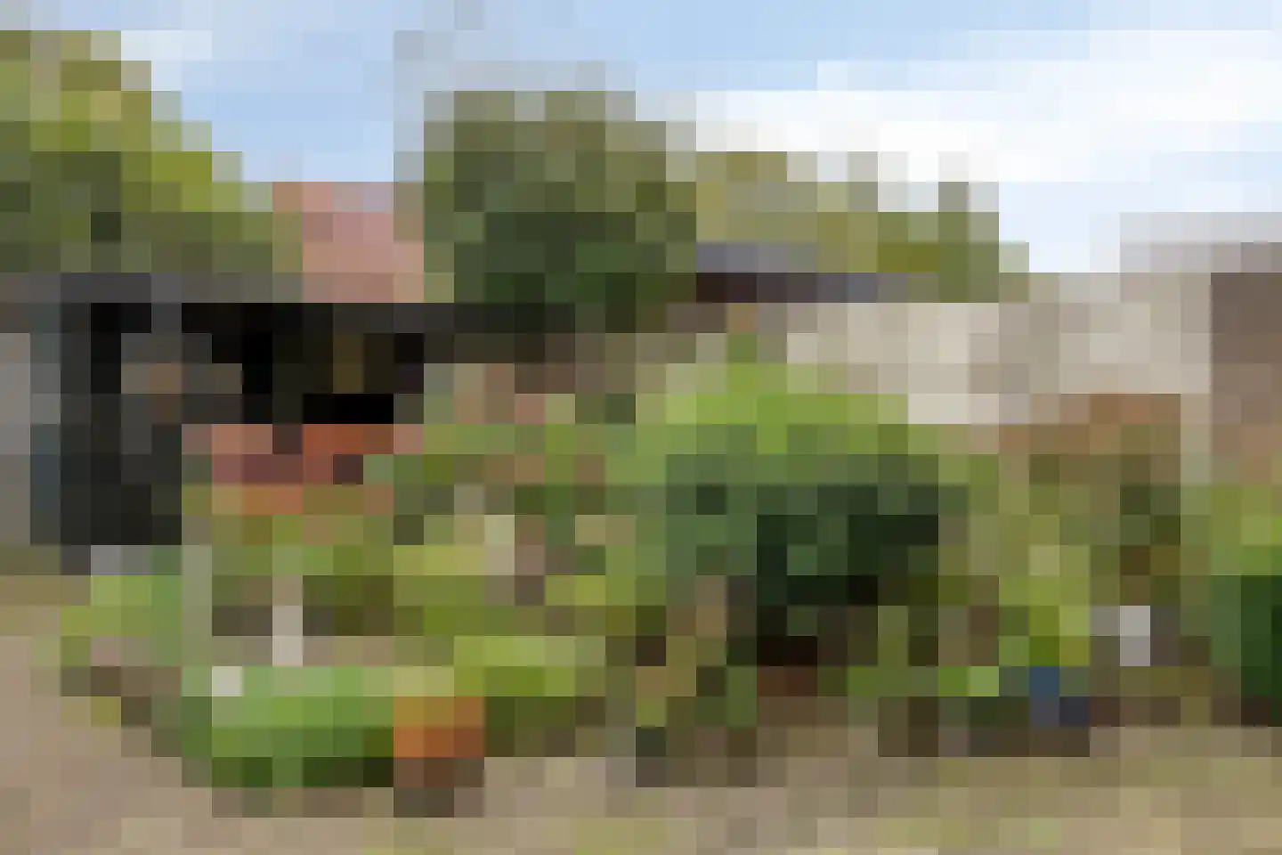 Duifstraat 80 Tilburg thumbnail 27