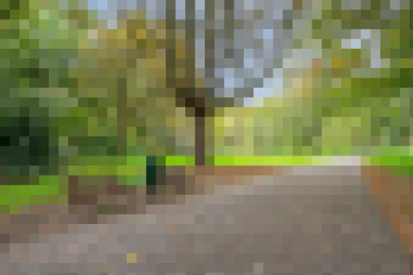 Duifstraat 80 Tilburg thumbnail 34