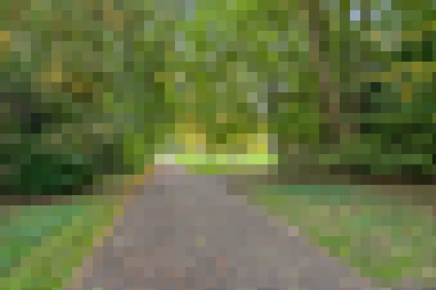 Duifstraat 80 Tilburg thumbnail 37