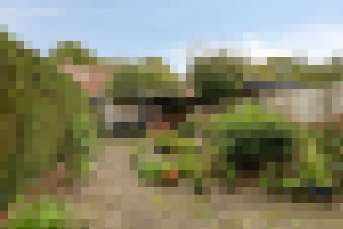 Duifstraat 80 Tilburg thumbnail 4