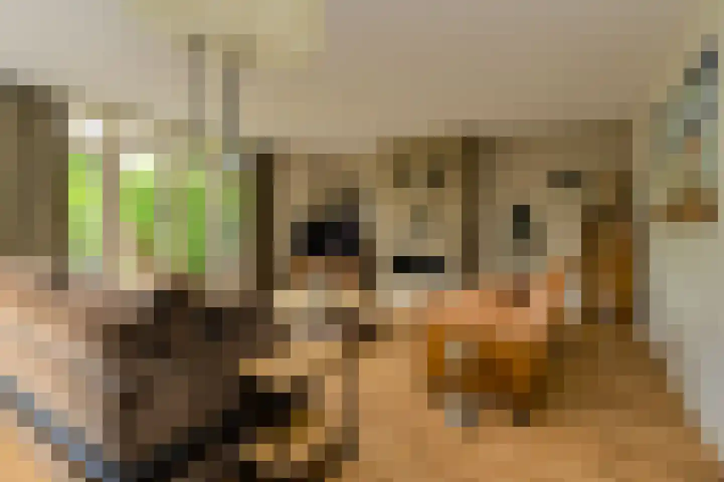 Duigendreef 12 Oosterhout thumbnail 11