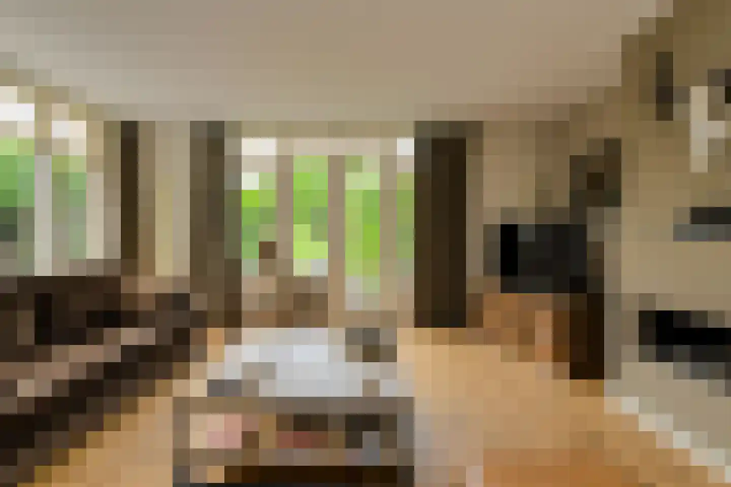 Duigendreef 12 Oosterhout thumbnail 12
