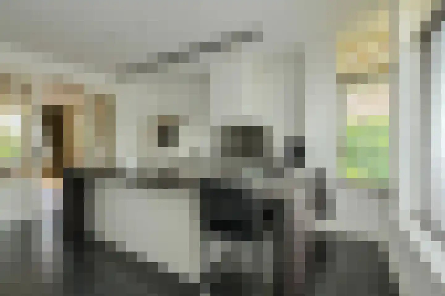 Duigendreef 12 Oosterhout thumbnail 18