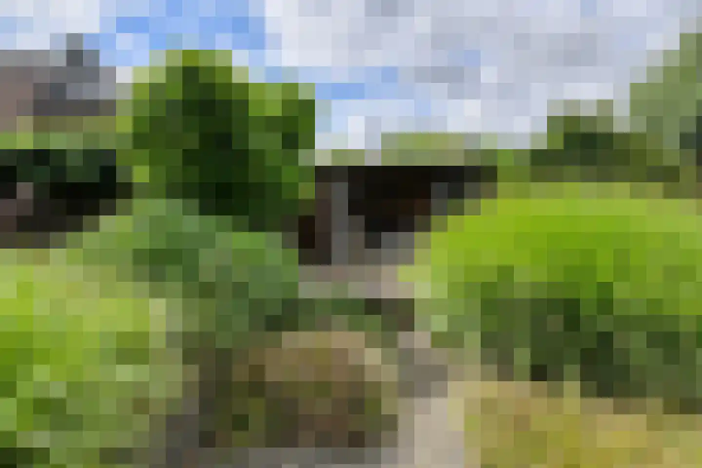Duigendreef 12 Oosterhout thumbnail 4