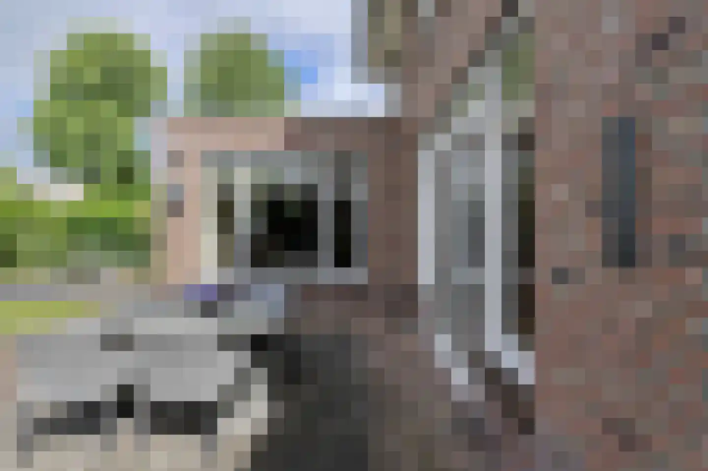 Duigendreef 12 Oosterhout thumbnail 42