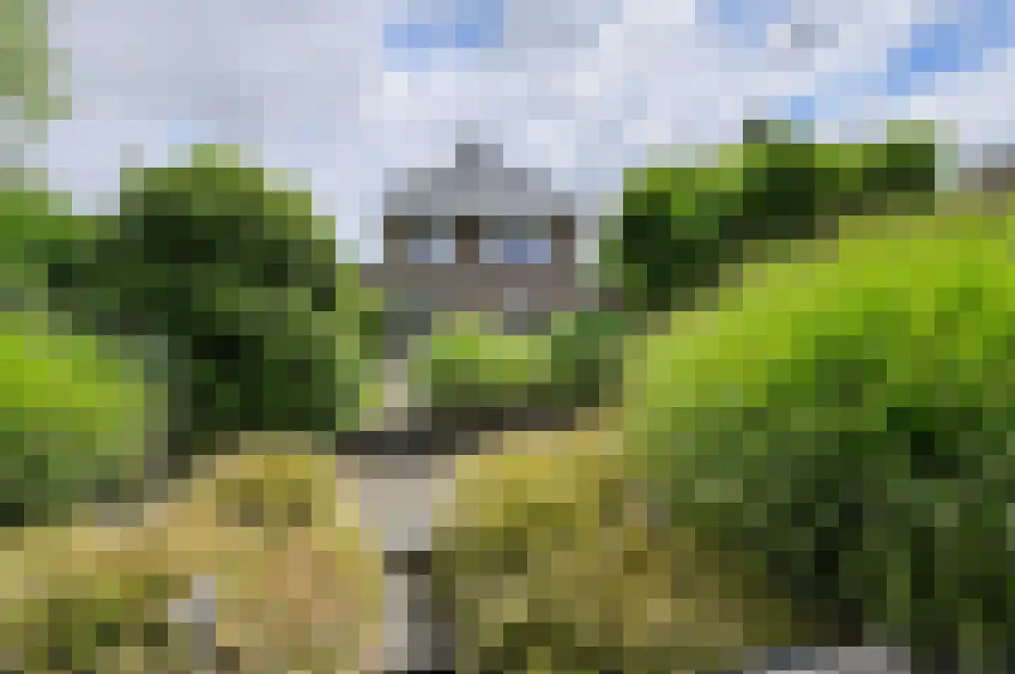 Duigendreef 12 Oosterhout thumbnail 7