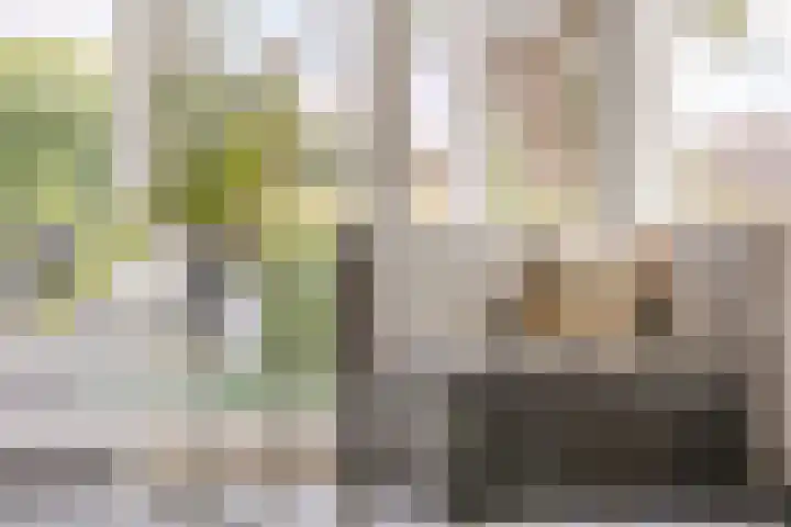 Duigendreef 29 Oosterhout thumbnail 12