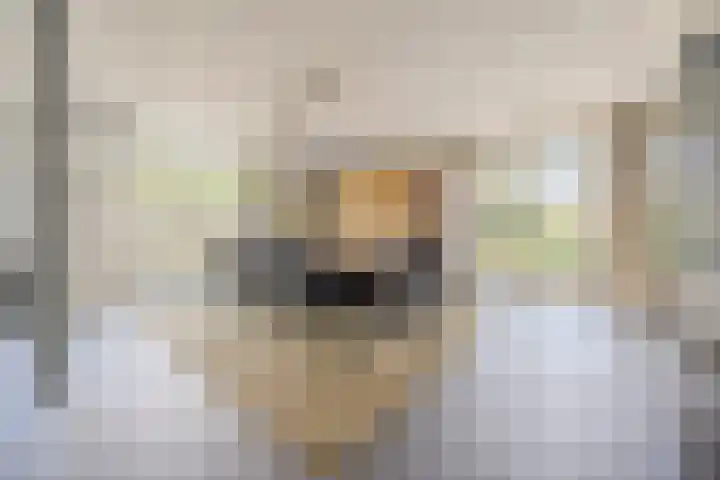 Duigendreef 29 Oosterhout thumbnail 17