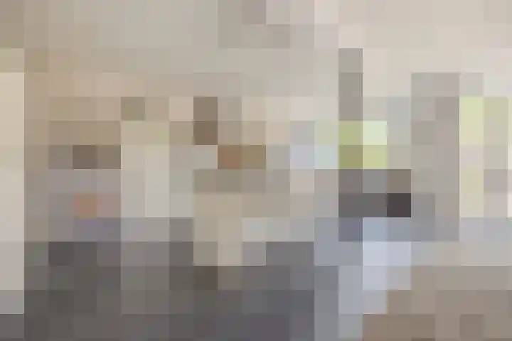 Duigendreef 29 Oosterhout thumbnail 20