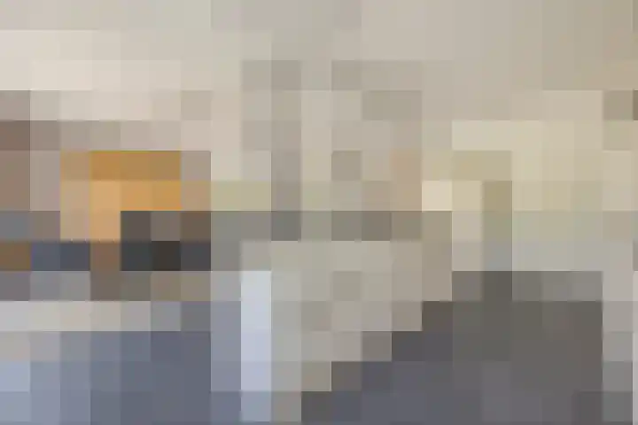 Duigendreef 29 Oosterhout thumbnail 22