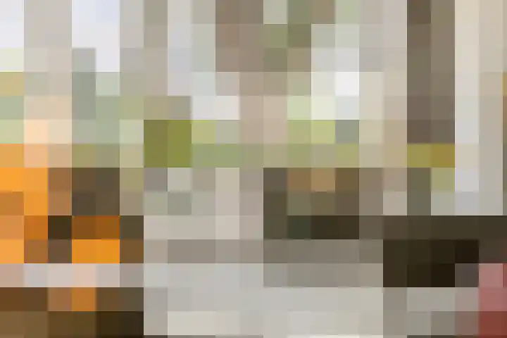Duigendreef 29 Oosterhout thumbnail 26