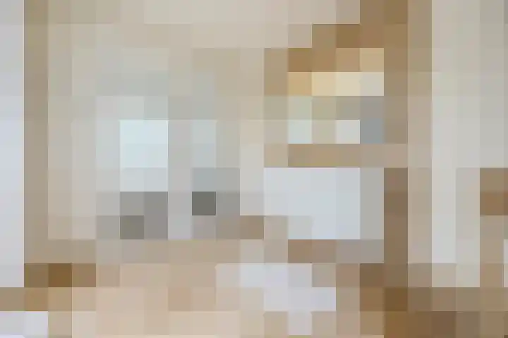 Duigendreef 29 Oosterhout thumbnail 33
