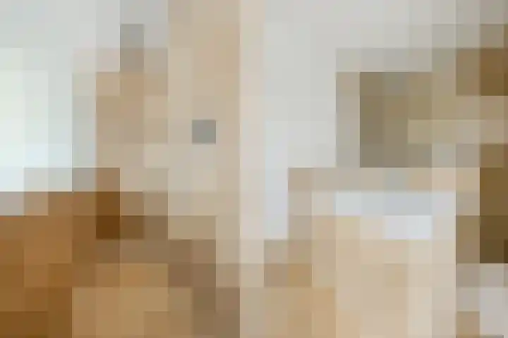 Duigendreef 29 Oosterhout thumbnail 35