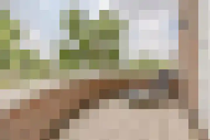 Duigendreef 29 Oosterhout thumbnail 36