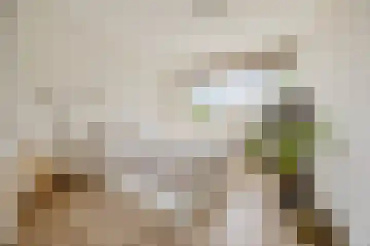 Duigendreef 29 Oosterhout thumbnail 37