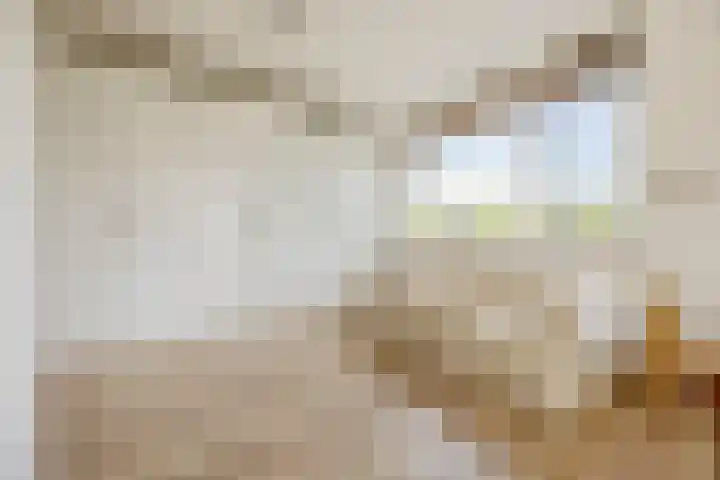 Duigendreef 29 Oosterhout thumbnail 39