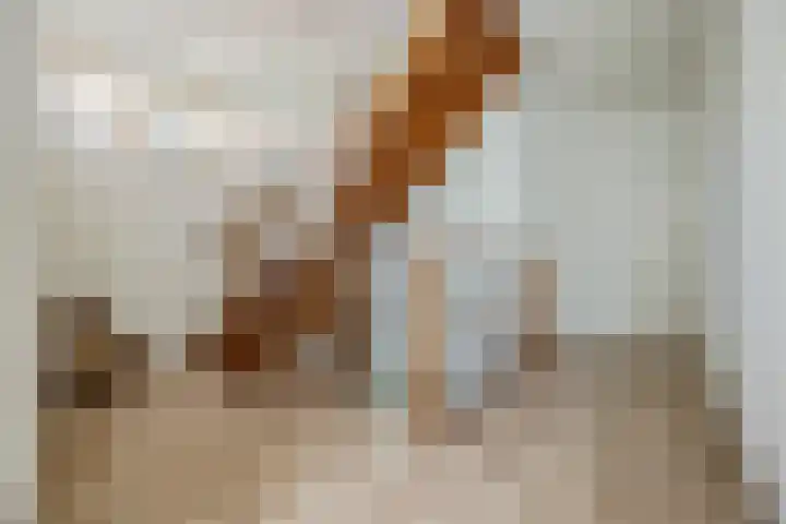 Duigendreef 29 Oosterhout thumbnail 42