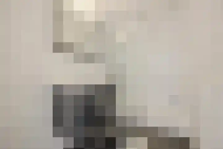 Duigendreef 29 Oosterhout thumbnail 44