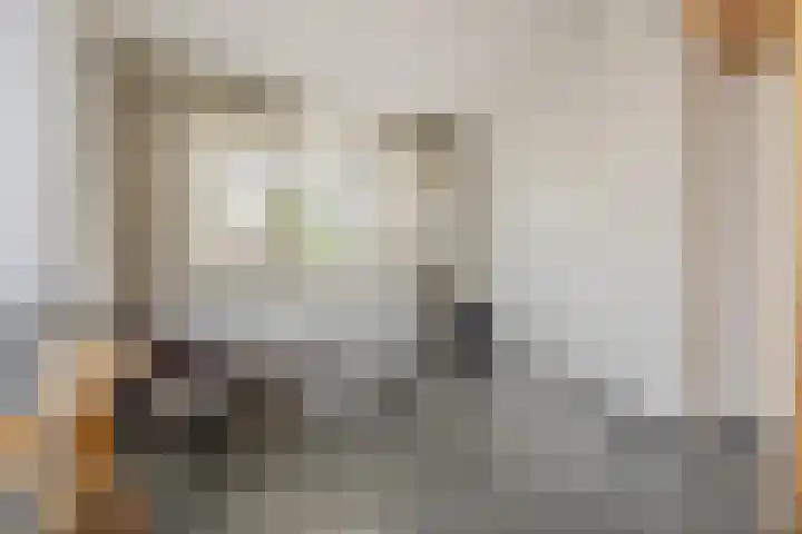Duigendreef 29 Oosterhout thumbnail 45