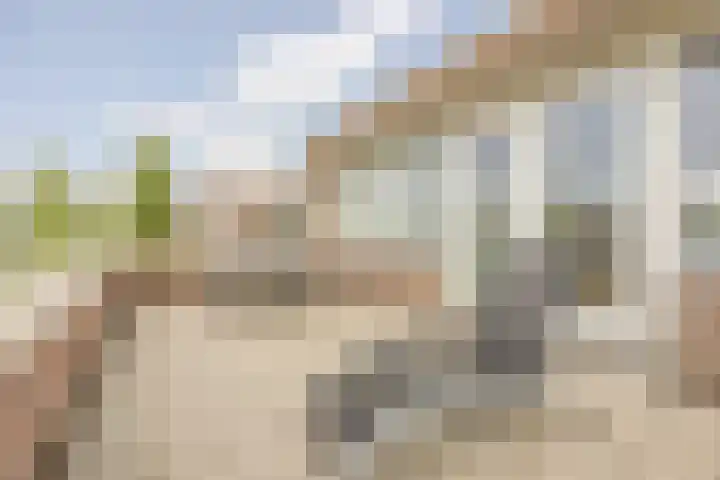 Duigendreef 29 Oosterhout thumbnail 49
