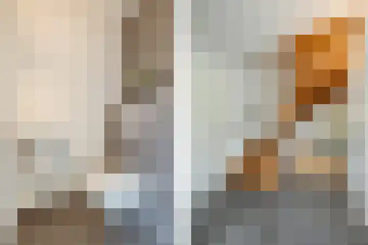 Duigendreef 29 Oosterhout thumbnail 5