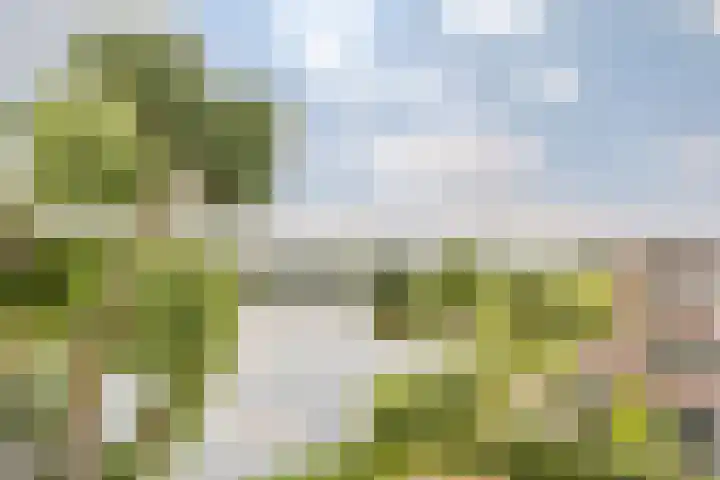 Duigendreef 29 Oosterhout thumbnail 50