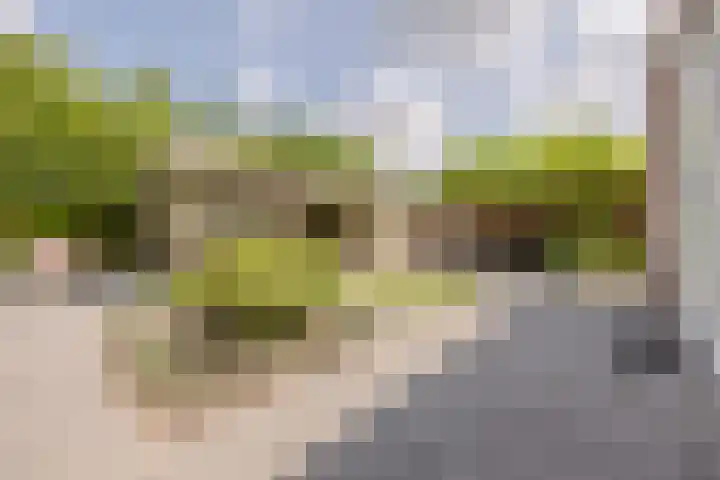 Duigendreef 29 Oosterhout thumbnail 51