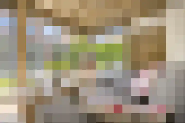 Duigendreef 29 Oosterhout thumbnail 55