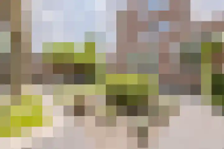 Duigendreef 29 Oosterhout thumbnail 56