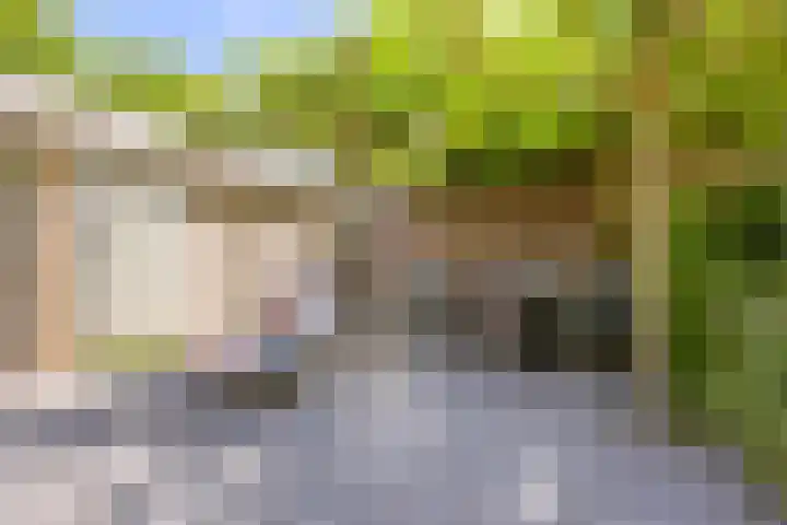 Duigendreef 29 Oosterhout thumbnail 57