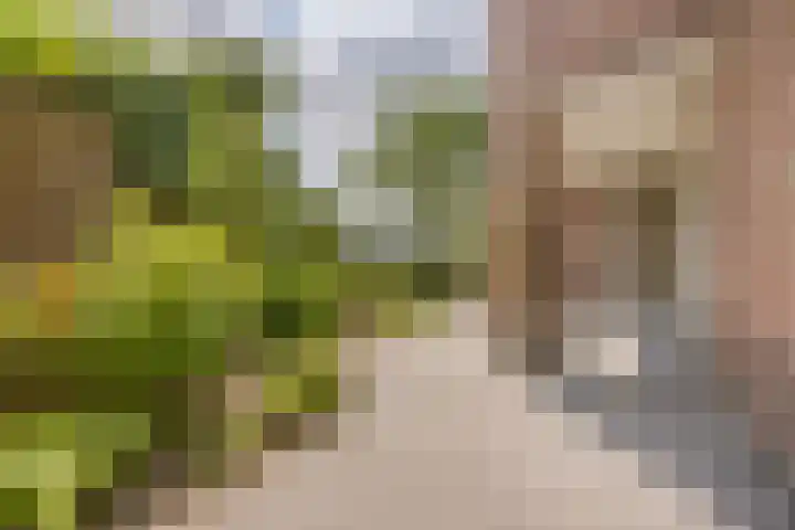 Duigendreef 29 Oosterhout thumbnail 59
